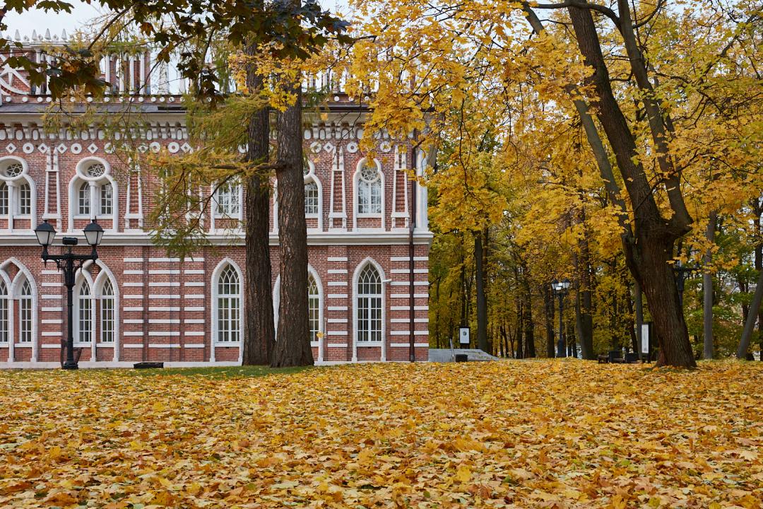 Средний дворец оперный дом в царицыно