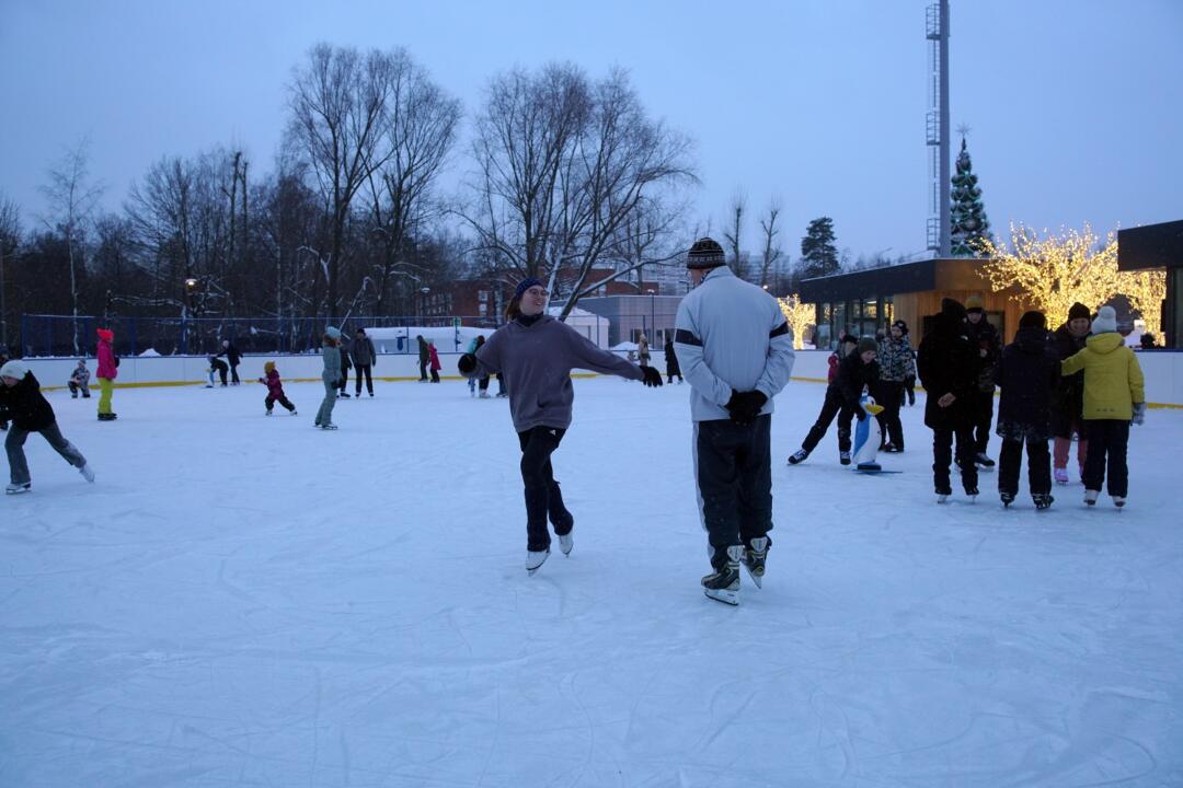 В Татьянин день в «Царицыне» для студентов устроят бесплатный прокат ...